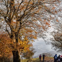 روستای نقله بر